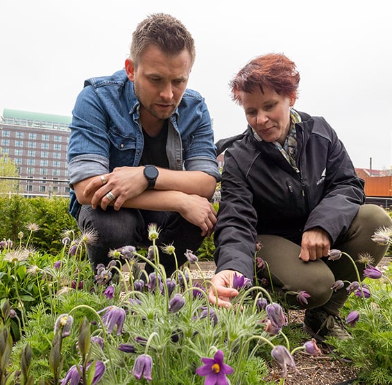 Experts idverde NL vertelt klant over biodiversiteit beplanting