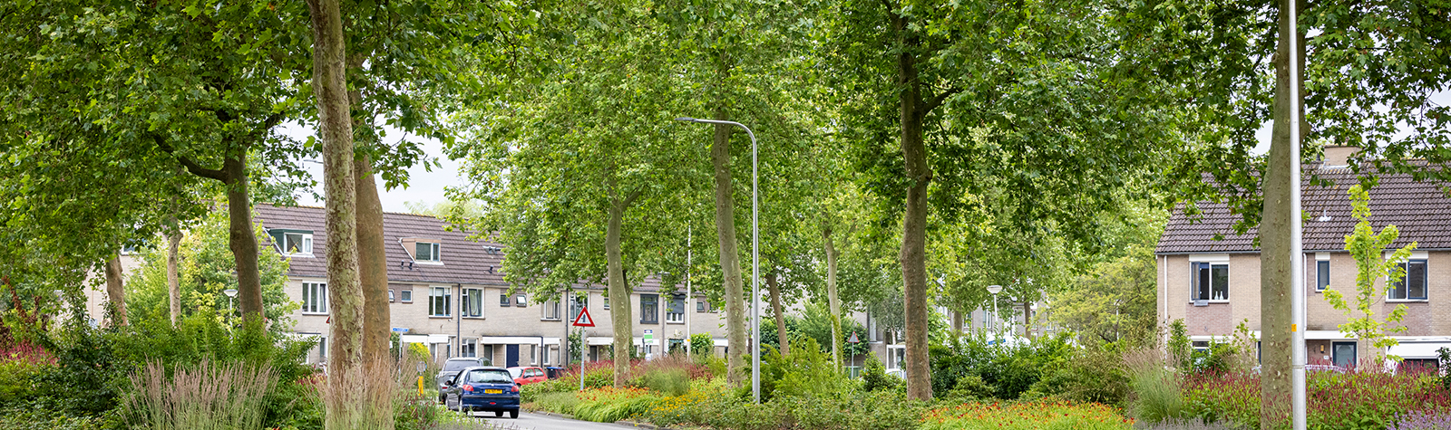 Bomen in Waddinxveen