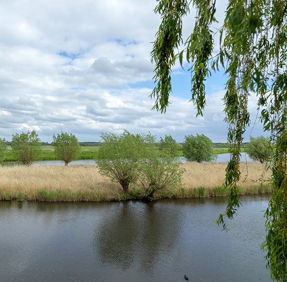 Natuur