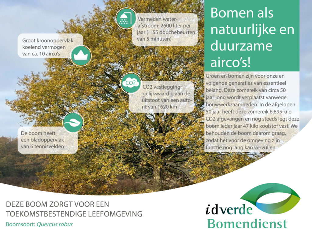 Idverde img