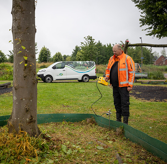 Vochtgehalte meten bij verplante bomen in Waddinxveen