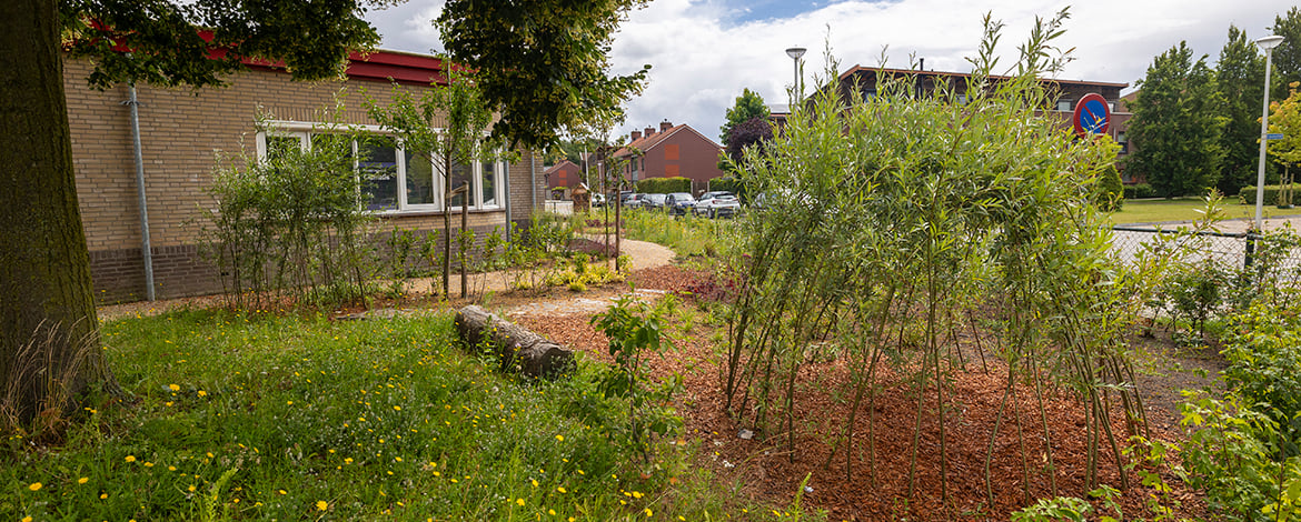 Speeltuin school
