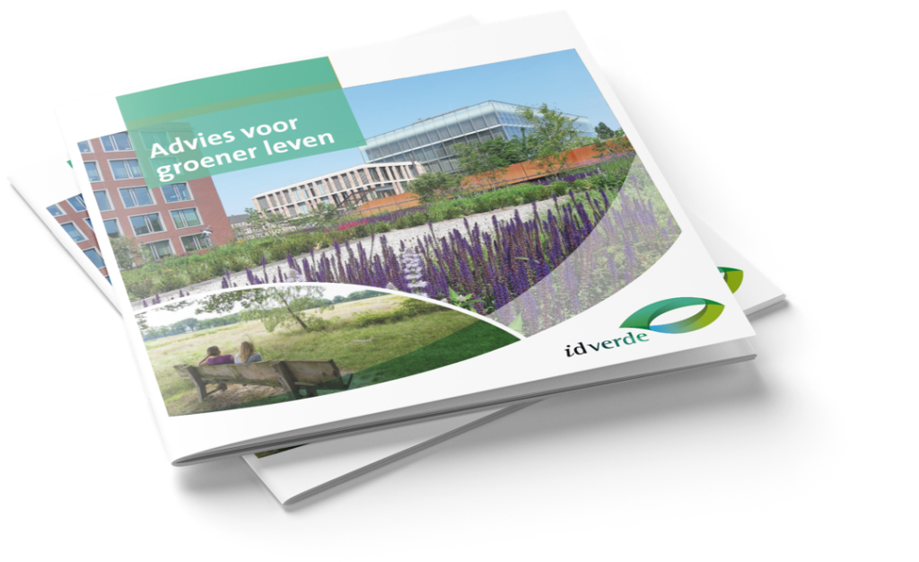 afbeelding van een brochure