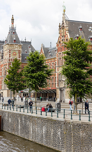 Bomen centraal station Amsterdam