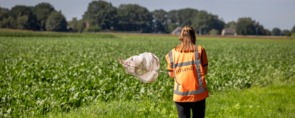 Ecologisch bermbeheer