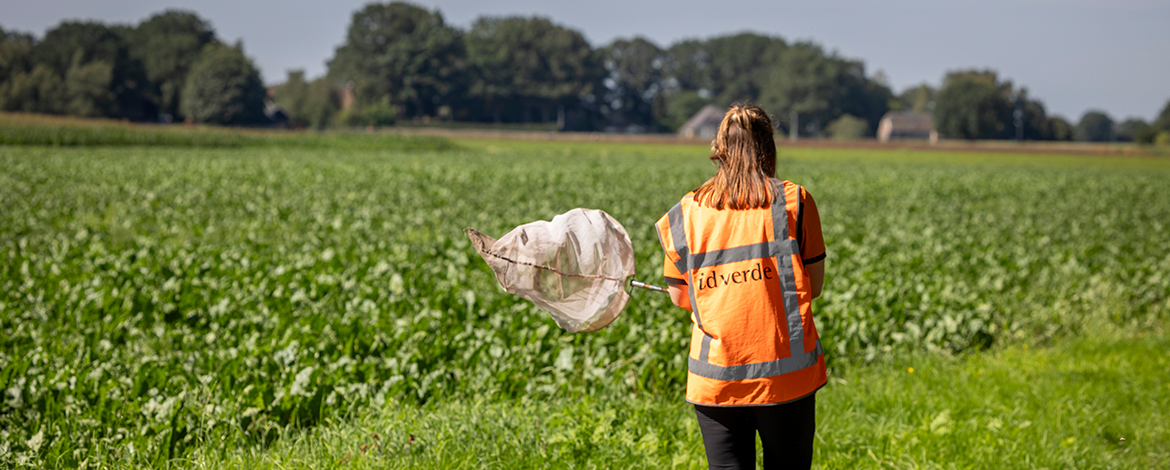 Ecologisch bermbeheer
