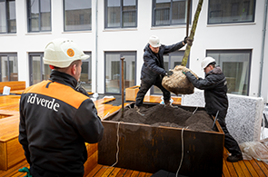 Aanleggen groendak