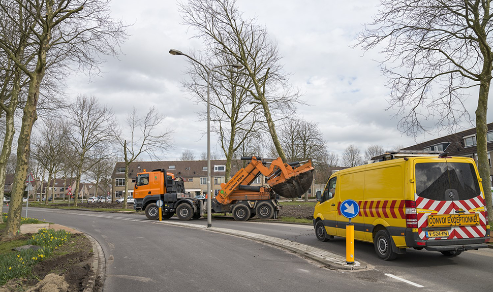Waddinxveen verplanting