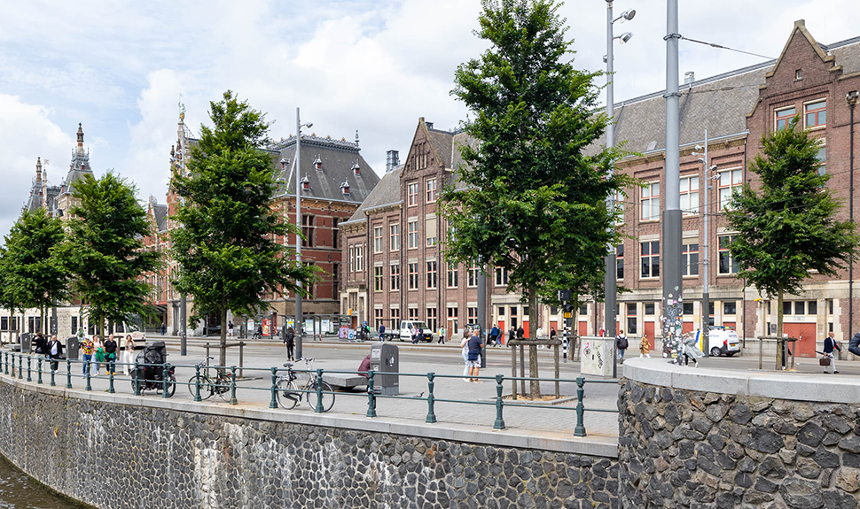 bomen planten centraal station