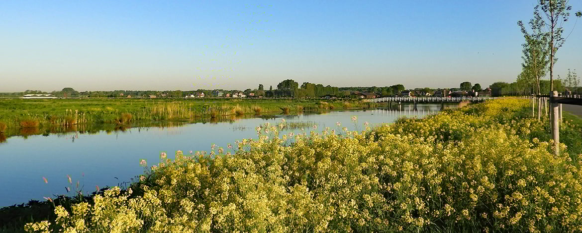 Natuurgebied