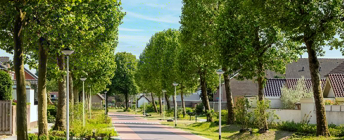 Straat in woonwijk met bomen
