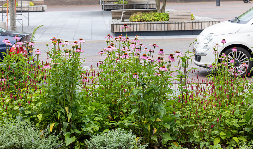 Omgevingswet_ groene borders