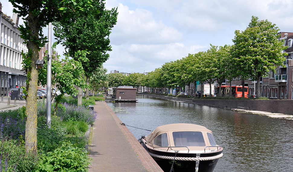 Omgevingswet Gemeente Gouda