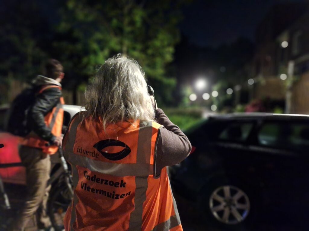 Ecologische onderzoek vleermuizen