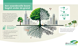 Infografic, een waardevolle boom begint onder de grond
