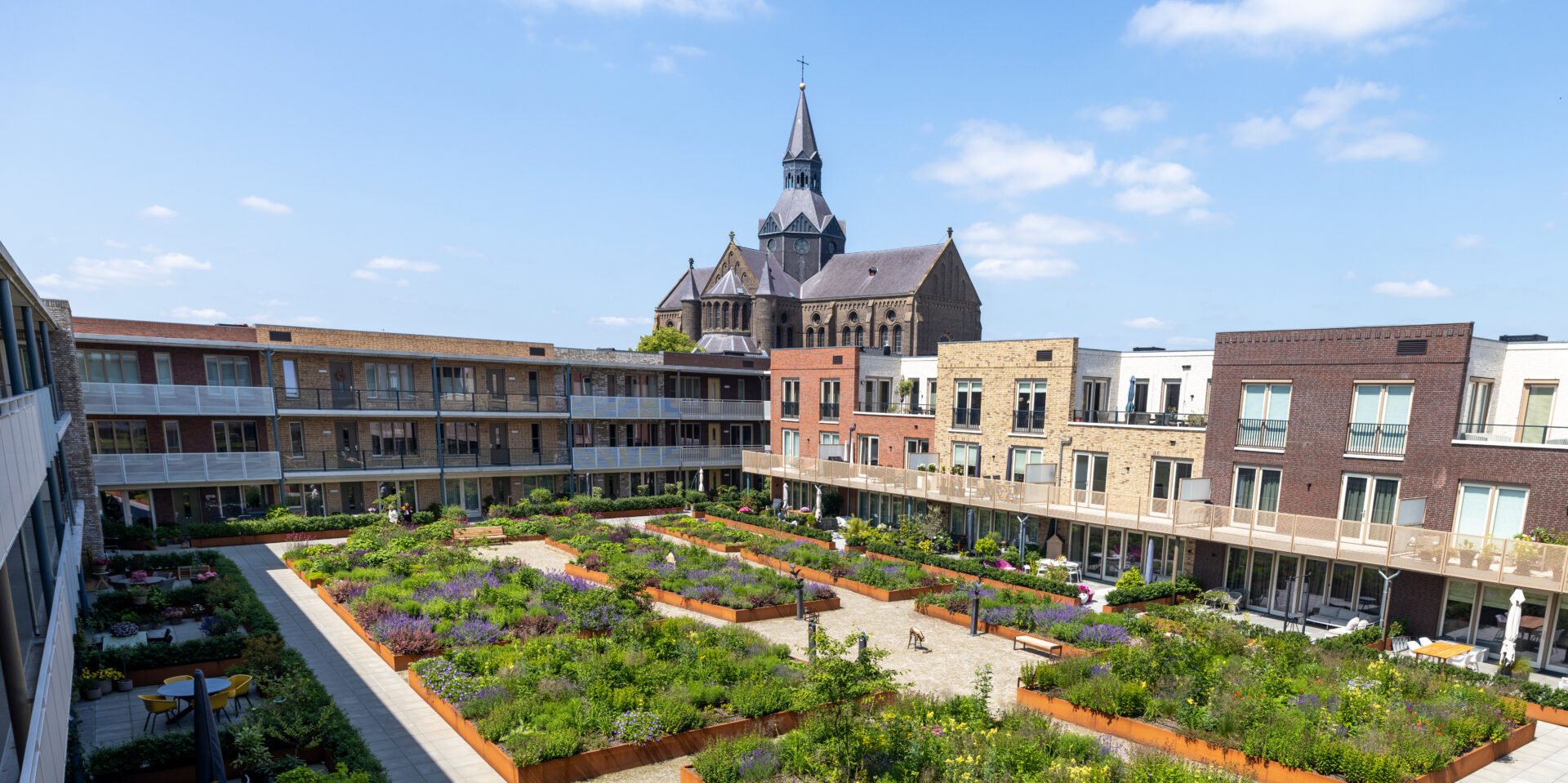 groen dak aanleggen