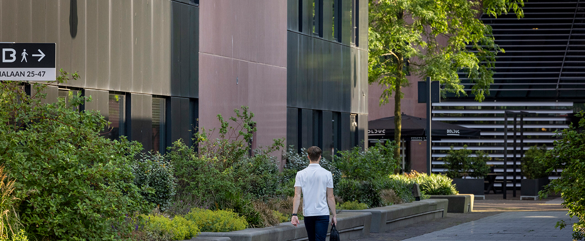 bedrijfstuin-aanleggen