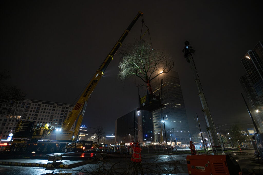 Boomverplanting Hofplein Rotterdam