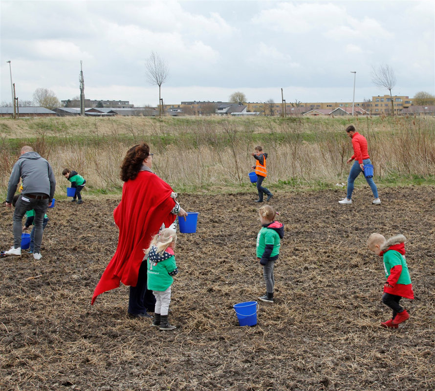 4 april 2018  - inzaaien idylle voor vlinders en bijen in De Groenzoom (© Cor Noorman)