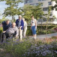 Nieuws - Groen moet je doen