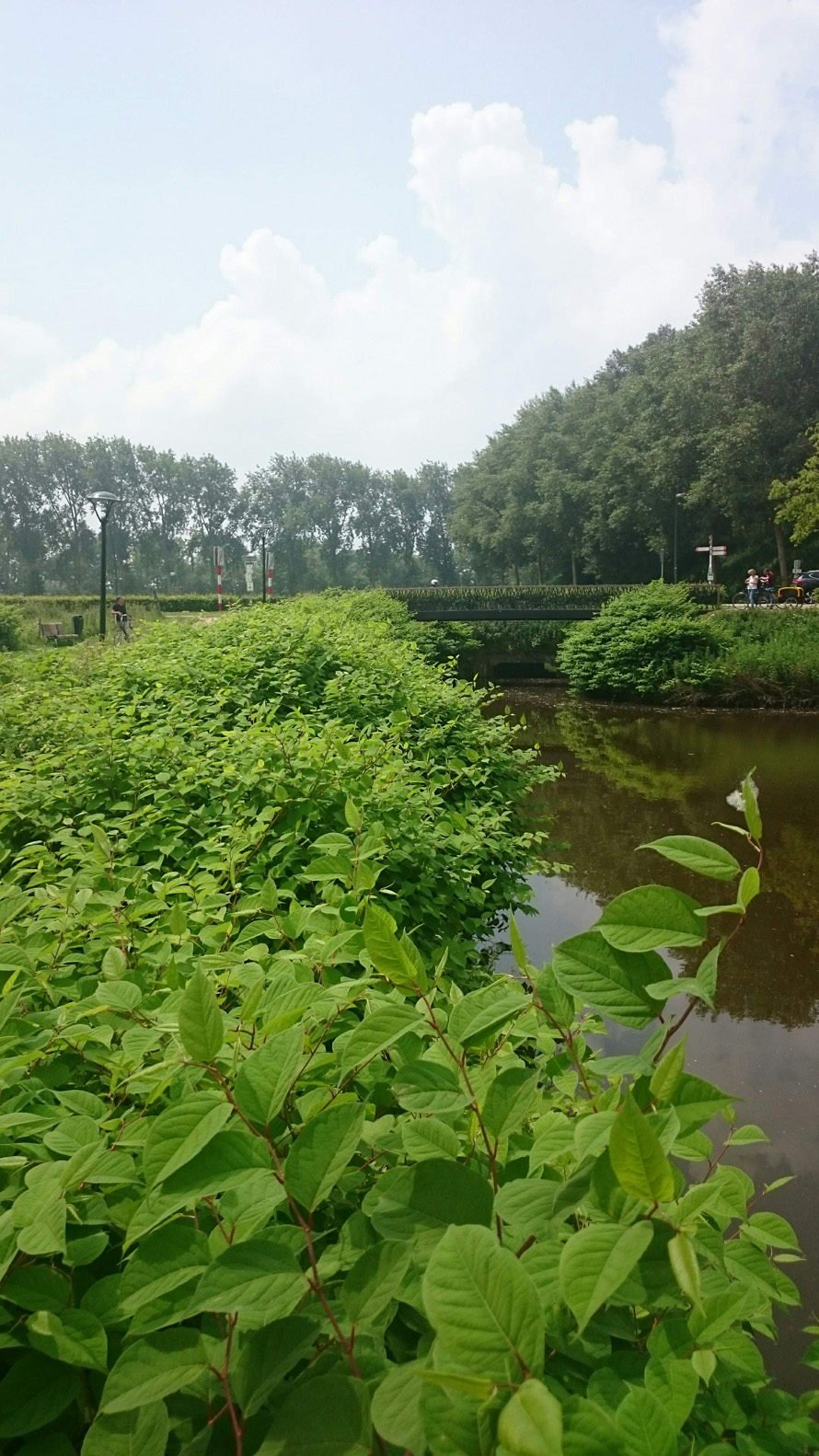 nieuws - Onwetendheid mag geen excuus meer zijn 3