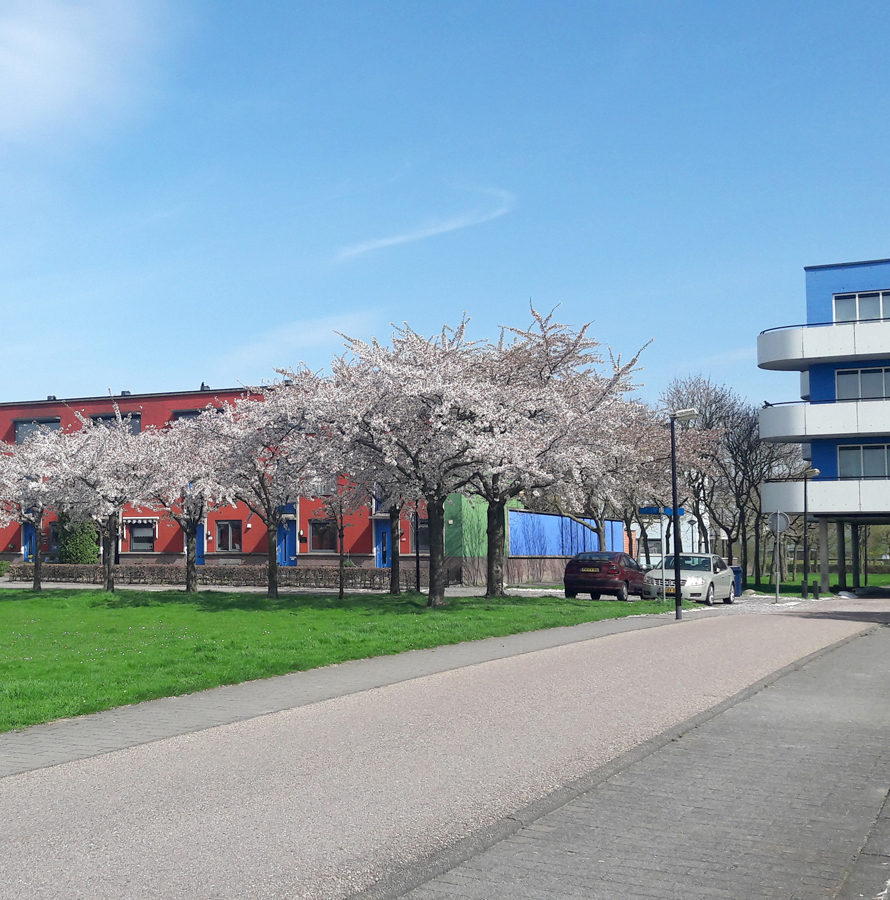 Werken in een bouwteam: groot onderhoud Regenboogbuurt in Almere