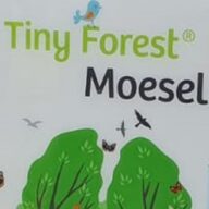 Tiny Forest Weert