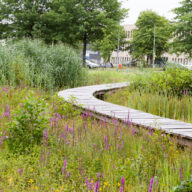Overzicht - Blog - Mieke Latijnhouwers
