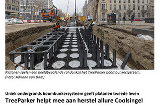 treeparker project coolsingel rotterdam