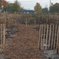 Overzicht - Tiny Forest Weert Hengelo