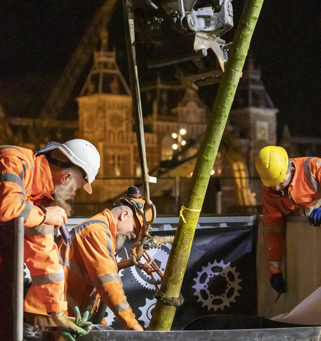 Bomenplant onderaan