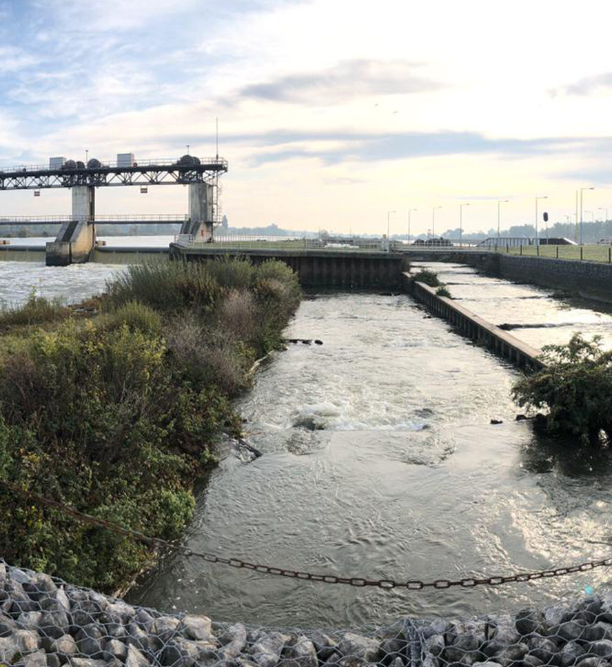 Het Maasareaal heeft een lengte van 300 kilometer.