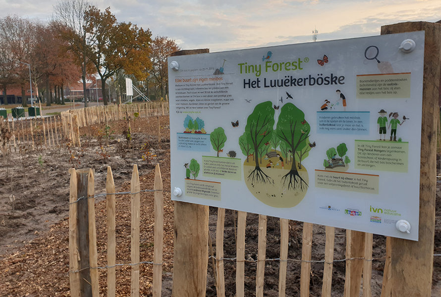 Een Tiny Forest in Weert