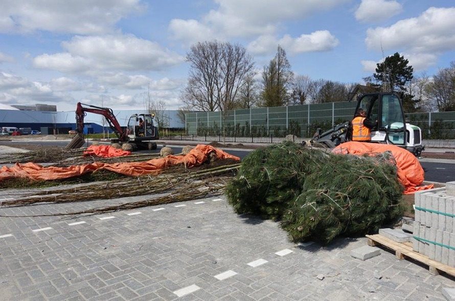 Nieuws - Bomen planten SC Cambuur