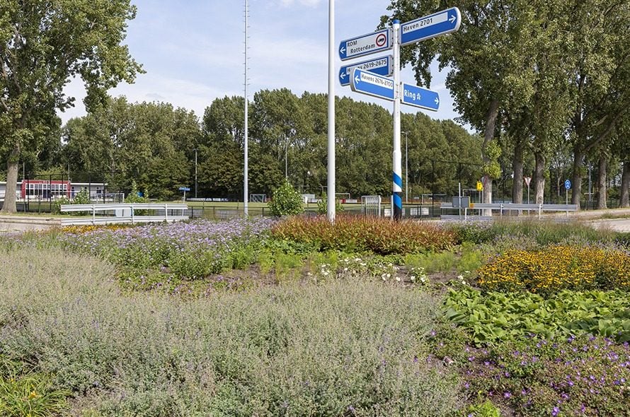 Blog Martin Wigger - Vaste planten 1