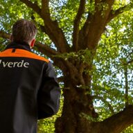header zaanstad