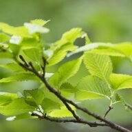 Overzicht - Nieuws - Intentieverklaring Duurzaam leren en werken in het groen