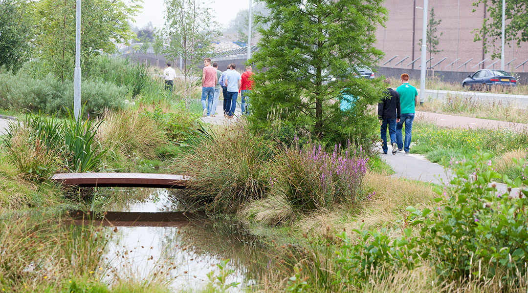 1080x600-tussenafbeelding-sloot