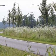 Persbericht - Overzicht - Gedragscode Provinciale Infrastructuur goedgekeurd