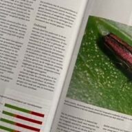Overzicht - Tuin en Landschap - Perenprachtkever