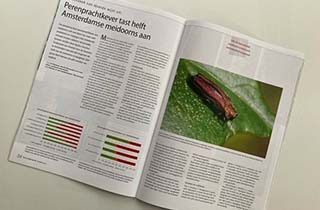 Download - Tuin en Landschap - Perenprachtkever