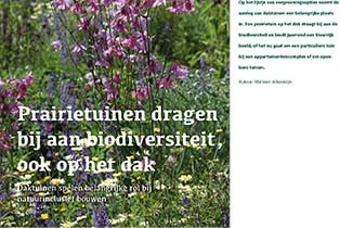 Download - Stad en Groen editie 8 2021