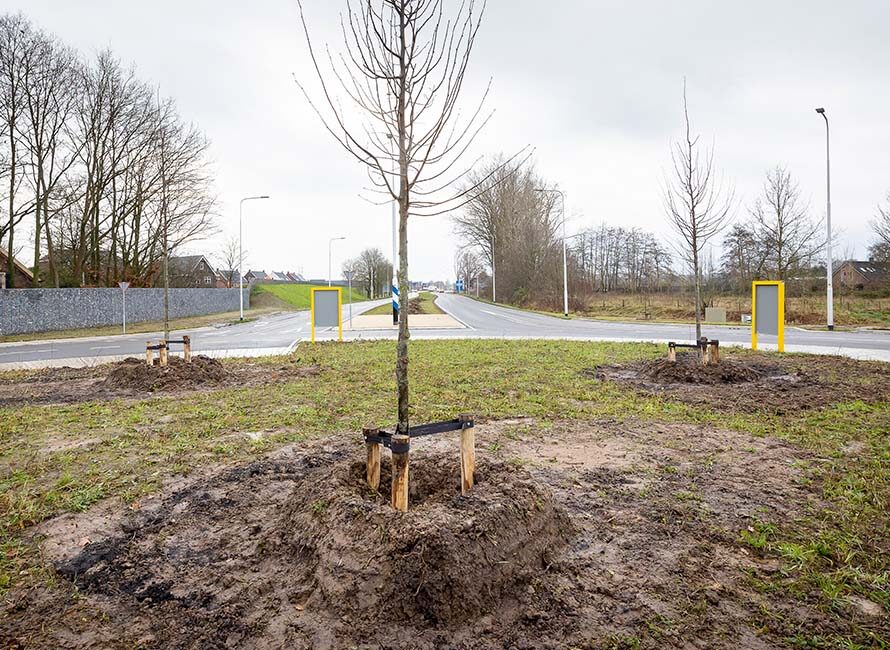 Project - Bomen planten Doetinchem 1