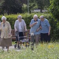 Overzicht- Header - Wat kan je als cliëntenraad met groen doen