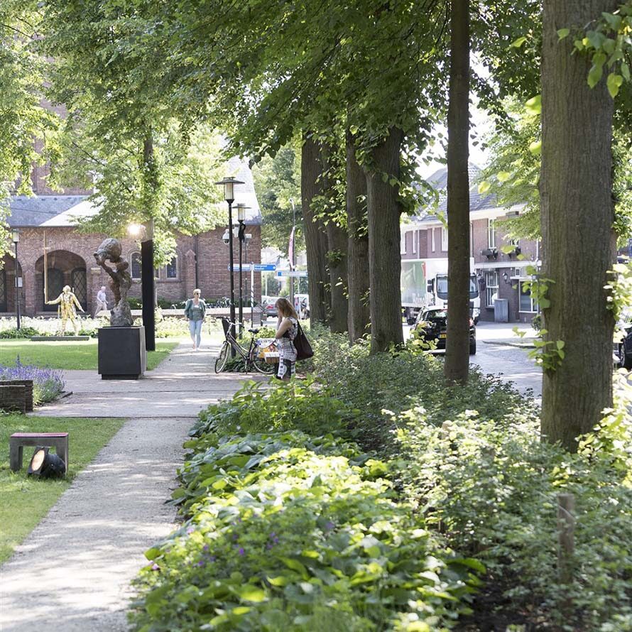 Volwassen bomen zijn van grote waarde.