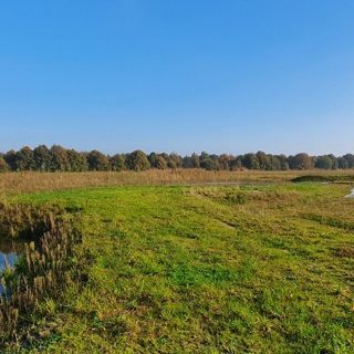 Reeshofweide_1