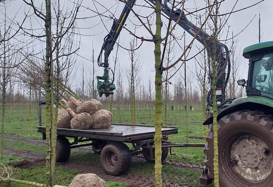 Nieuwe bomen voor Leersum