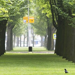 Untitled-1