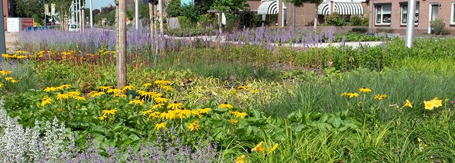 Beplanting Raalte