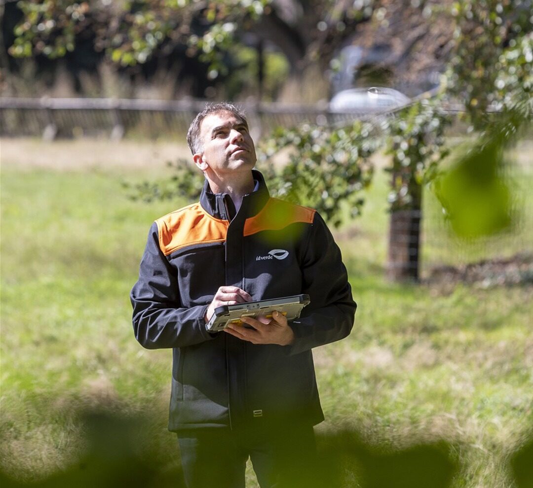 i-Tree Nederland